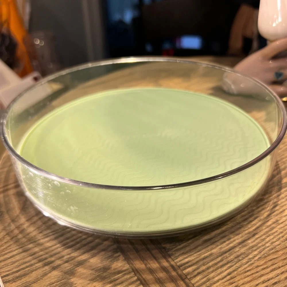 Green Makeup Organizer Lazy Susan Tray or anyway you want to use